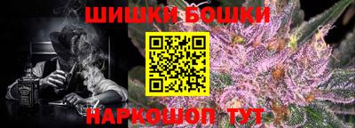 прущие грибы Нальчик
