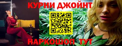 прущие грибы Нальчик
